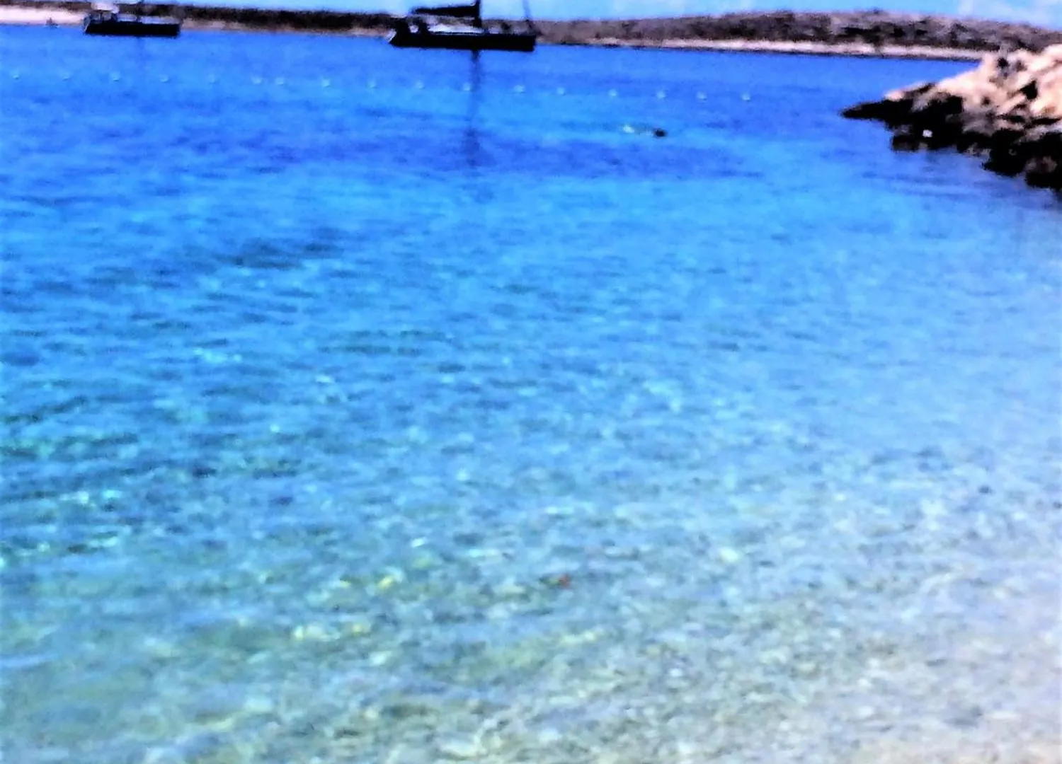 Apartment Maslina Premuda Croatia