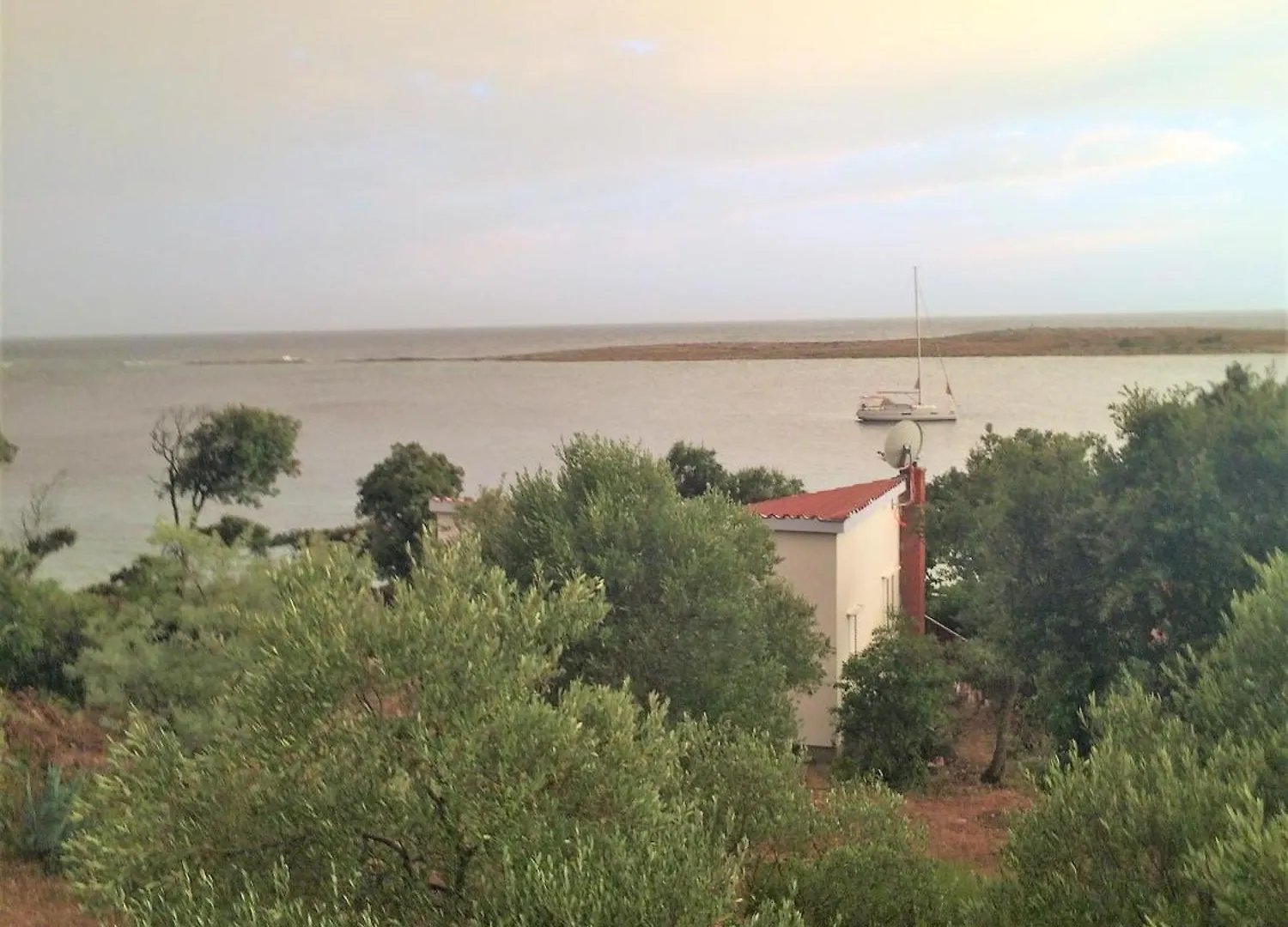 Apartment Maslina Premuda Holiday home