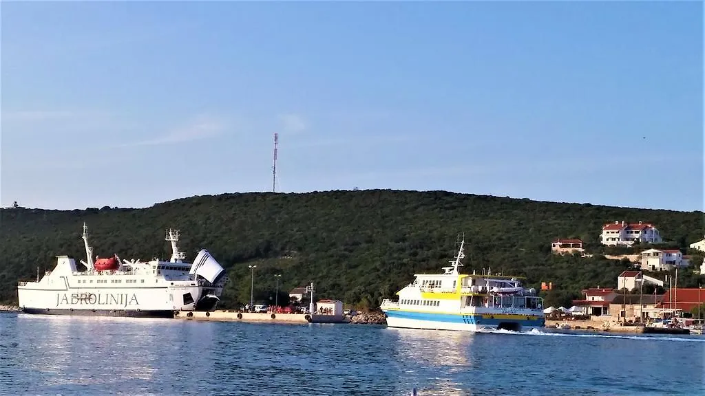 Apartment Maslina Premuda Croatia