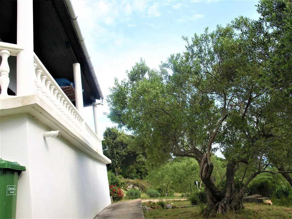 Apartment Maslina Premuda Holiday home